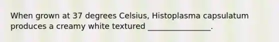 When grown at 37 degrees Celsius, Histoplasma capsulatum produces a creamy white textured ________________.