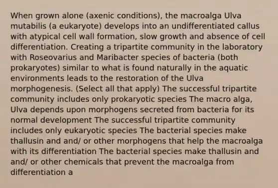 When grown alone (axenic conditions), the macroalga Ulva mutabilis (a eukaryote) develops into an undifferentiated callus with atypical <a href='https://www.questionai.com/knowledge/koIRusoDXG-cell-wall' class='anchor-knowledge'>cell wall</a> formation, slow growth and absence of <a href='https://www.questionai.com/knowledge/kaSB3yCbnH-cell-differentiation' class='anchor-knowledge'>cell differentiation</a>. Creating a tripartite community in the laboratory with Roseovarius and Maribacter species of bacteria (both prokaryotes) similar to what is found naturally in the aquatic environments leads to <a href='https://www.questionai.com/knowledge/kOoMykIyD7-the-restoration' class='anchor-knowledge'>the restoration</a> of the Ulva morphogenesis. (Select all that apply) The successful tripartite community includes only prokaryotic species The macro alga, Ulva depends upon morphogens secreted from bacteria for its normal development The successful tripartite community includes only eukaryotic species The bacterial species make thallusin and and/ or other morphogens that help the macroalga with its differentiation The bacterial species make thallusin and and/ or other chemicals that prevent the macroalga from differentiation a