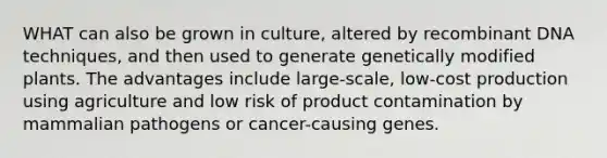 WHAT can also be grown in culture, altered by recombinant DNA techniques, and then used to generate genetically modified plants. The advantages include large-scale, low-cost production using agriculture and low risk of product contamination by mammalian pathogens or cancer-causing genes.