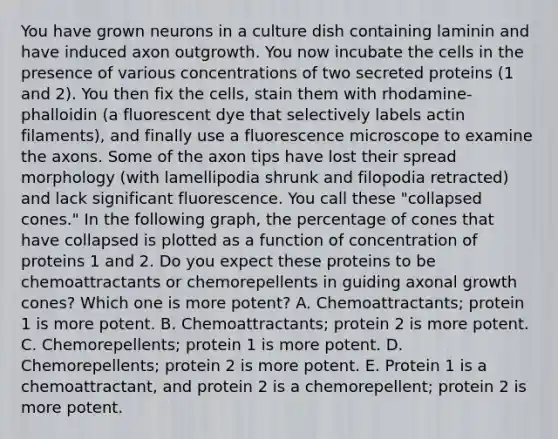 You have grown neurons in a culture dish containing laminin and have induced axon outgrowth. You now incubate the cells in the presence of various concentrations of two secreted proteins (1 and 2). You then fix the cells, stain them with rhodamine-phalloidin (a fluorescent dye that selectively labels actin filaments), and finally use a fluorescence microscope to examine the axons. Some of the axon tips have lost their spread morphology (with lamellipodia shrunk and filopodia retracted) and lack significant fluorescence. You call these "collapsed cones." In the following graph, the percentage of cones that have collapsed is plotted as a function of concentration of proteins 1 and 2. Do you expect these proteins to be chemoattractants or chemorepellents in guiding axonal growth cones? Which one is more potent? A. Chemoattractants; protein 1 is more potent. B. Chemoattractants; protein 2 is more potent. C. Chemorepellents; protein 1 is more potent. D. Chemorepellents; protein 2 is more potent. E. Protein 1 is a chemoattractant, and protein 2 is a chemorepellent; protein 2 is more potent.