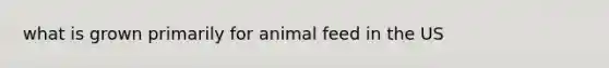 what is grown primarily for animal feed in the US