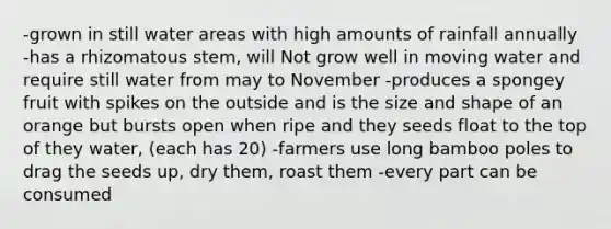 -grown in still water areas with high amounts of rainfall annually -has a rhizomatous stem, will Not grow well in moving water and require still water from may to November -produces a spongey fruit with spikes on the outside and is the size and shape of an orange but bursts open when ripe and they seeds float to the top of they water, (each has 20) -farmers use long bamboo poles to drag the seeds up, dry them, roast them -every part can be consumed