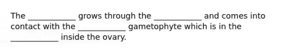 The ____________ grows through the ____________ and comes into contact with the ____________ gametophyte which is in the ____________ inside the ovary.