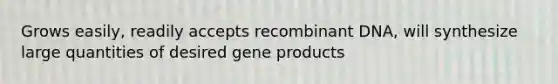 Grows easily, readily accepts recombinant DNA, will synthesize large quantities of desired gene products