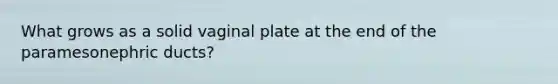 What grows as a solid vaginal plate at the end of the paramesonephric ducts?