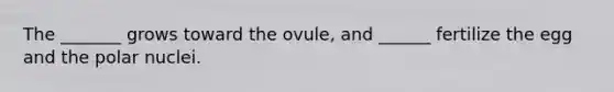 The _______ grows toward the ovule, and ______ fertilize the egg and the polar nuclei.