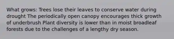 What grows: Trees lose their leaves to conserve water during drought The periodically open canopy encourages thick growth of underbrush Plant diversity is lower than in moist broadleaf forests due to the challenges of a lengthy dry season.