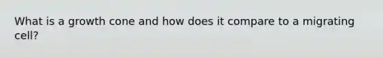 What is a growth cone and how does it compare to a migrating cell?