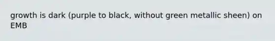 growth is dark (purple to black, without green metallic sheen) on EMB