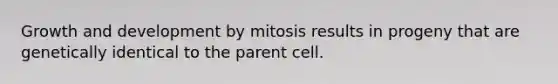 Growth and development by mitosis results in progeny that are genetically identical to the parent cell.​