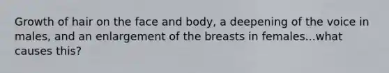 Growth of hair on the face and body, a deepening of the voice in males, and an enlargement of the breasts in females...what causes this?