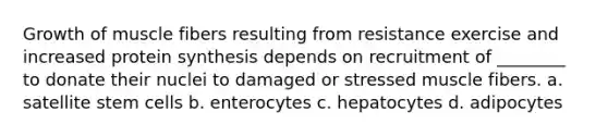 Growth of muscle fibers resulting from resistance exercise and increased protein synthesis depends on recruitment of ________ to donate their nuclei to damaged or stressed muscle fibers. a. satellite stem cells b. enterocytes c. hepatocytes d. adipocytes