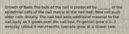 Growth of Nails The bulk of the nail is produced by _______ of the epidermal cells of the nail matrix at the nail root. New cell push older cells distally. The nail bed adds additional material to the nail body as it grows over the nail bed. Fingernail grow 0.1-.2 mm/day (about 6 mm/month); toenails grow at a slower rate.