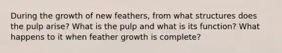 During the growth of new feathers, from what structures does the pulp arise? What is the pulp and what is its function? What happens to it when feather growth is complete?