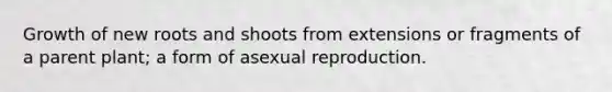 Growth of new roots and shoots from extensions or fragments of a parent plant; a form of asexual reproduction.