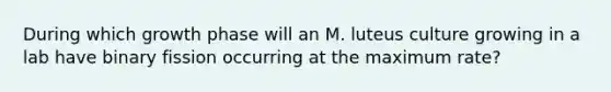 During which growth phase will an M. luteus culture growing in a lab have binary fission occurring at the maximum rate?