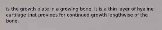 is the growth plate in a growing bone. It is a thin layer of hyaline cartilage that provides for continued growth lengthwise of the bone.