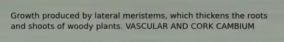 Growth produced by lateral meristems, which thickens the roots and shoots of woody plants. VASCULAR AND CORK CAMBIUM