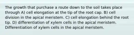 The growth that purchase a route down to the soil takes place through A) cell elongation at the tip of the root cap. B) cell division in the apical meristem. C) cell elongation behind the root tip. D) differentiation of xylem cells in the apical meristem. Differentiation of xylem cells in the apical meristem.