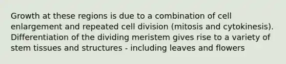 Growth at these regions is due to a combination of cell enlargement and repeated cell division (mitosis and cytokinesis). Differentiation of the dividing meristem gives rise to a variety of stem tissues and structures - including leaves and flowers