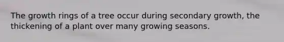 The growth rings of a tree occur during secondary growth, the thickening of a plant over many growing seasons.