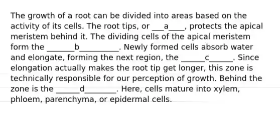 The growth of a root can be divided into areas based on the activity of its cells. The root tips, or ___a____, protects the apical meristem behind it. The dividing cells of the apical meristem form the _______b__________. Newly formed cells absorb water and elongate, forming the next region, the ______c______. Since elongation actually makes the root tip get longer, this zone is technically responsible for our perception of growth. Behind the zone is the ______d________. Here, cells mature into xylem, phloem, parenchyma, or epidermal cells.