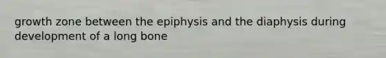 growth zone between the epiphysis and the diaphysis during development of a long bone