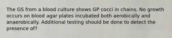 The GS from a blood culture shows GP cocci in chains. No growth occurs on blood agar plates incubated both aerobically and anaerobically. Additional testing should be done to detect the presence of?