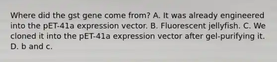 Where did the gst gene come from? A. It was already engineered into the pET-41a expression vector. B. Fluorescent jellyfish. C. We cloned it into the pET-41a expression vector after gel-purifying it. D. b and c.