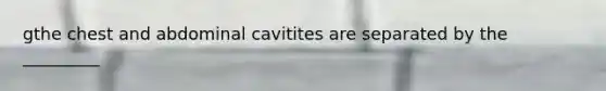 gthe chest and abdominal cavitites are separated by the _________