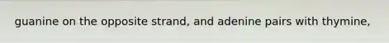 guanine on the opposite strand, and adenine pairs with thymine,