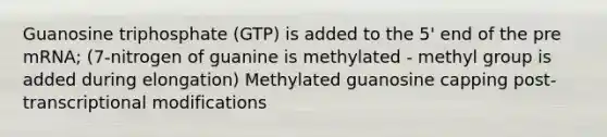 Guanosine triphosphate (GTP) is added to the 5' end of the pre mRNA; (7-nitrogen of guanine is methylated - methyl group is added during elongation) Methylated guanosine capping post-transcriptional modifications