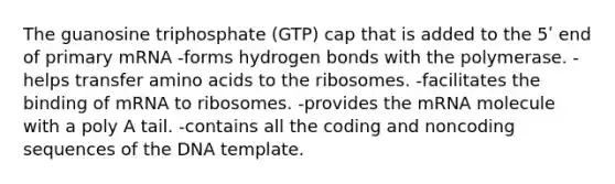 The guanosine triphosphate (GTP) cap that is added to the 5ʹ end of primary mRNA -forms hydrogen bonds with the polymerase. -helps transfer amino acids to the ribosomes. -facilitates the binding of mRNA to ribosomes. -provides the mRNA molecule with a poly A tail. -contains all the coding and noncoding sequences of the DNA template.