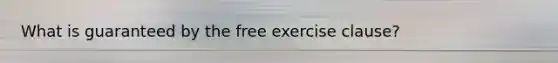 What is guaranteed by the free exercise clause?