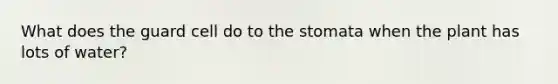 What does the guard cell do to the stomata when the plant has lots of water?