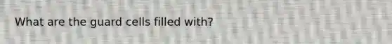 What are the guard cells filled with?