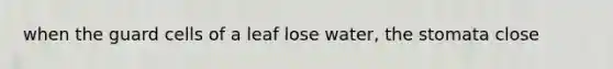 when the guard cells of a leaf lose water, the stomata close