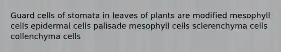 Guard cells of stomata in leaves of plants are modified mesophyll cells epidermal cells palisade mesophyll cells sclerenchyma cells collenchyma cells