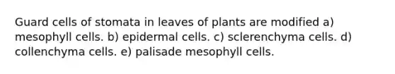 Guard cells of stomata in leaves of plants are modified a) mesophyll cells. b) epidermal cells. c) sclerenchyma cells. d) collenchyma cells. e) palisade mesophyll cells.