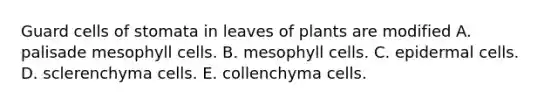 Guard cells of stomata in leaves of plants are modified A. palisade mesophyll cells. B. mesophyll cells. C. epidermal cells. D. sclerenchyma cells. E. collenchyma cells.