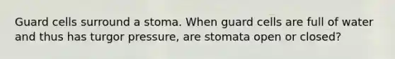 Guard cells surround a stoma. When guard cells are full of water and thus has turgor pressure, are stomata open or closed?