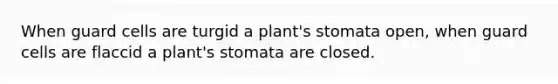 When guard cells are turgid a plant's stomata open, when guard cells are flaccid a plant's stomata are closed.