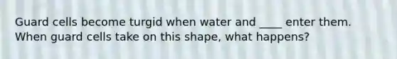 Guard cells become turgid when water and ____ enter them. When guard cells take on this shape, what happens?