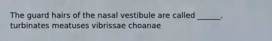 The guard hairs of the nasal vestibule are called ______. turbinates meatuses vibrissae choanae