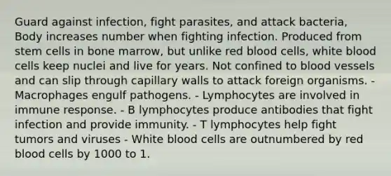 Guard against infection, fight parasites, and attack bacteria, Body increases number when fighting infection. Produced from stem cells in bone marrow, but unlike red blood cells, white blood cells keep nuclei and live for years. Not confined to blood vessels and can slip through capillary walls to attack foreign organisms. - Macrophages engulf pathogens. - Lymphocytes are involved in immune response. - B lymphocytes produce antibodies that fight infection and provide immunity. - T lymphocytes help fight tumors and viruses - White blood cells are outnumbered by red blood cells by 1000 to 1.