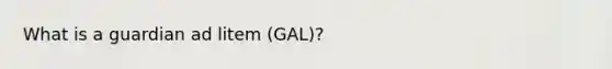 What is a guardian ad litem (GAL)?