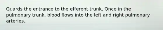 Guards the entrance to the efferent trunk. Once in the pulmonary trunk, blood flows into the left and right pulmonary arteries.