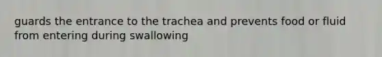 guards the entrance to the trachea and prevents food or fluid from entering during swallowing