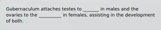 Gubernaculum attaches testes to _______ in males and the ovaries to the __________ in females, assisting in the development of both.