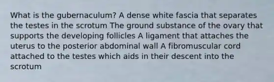 What is the gubernaculum? A dense white fascia that separates the testes in the scrotum The ground substance of the ovary that supports the developing follicles A ligament that attaches the uterus to the posterior abdominal wall A fibromuscular cord attached to the testes which aids in their descent into the scrotum